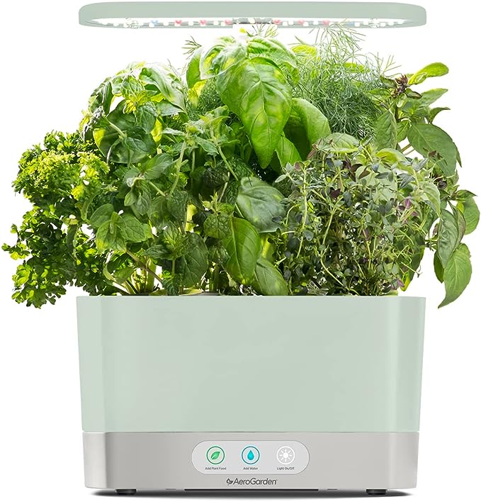 Cultivate Your Own Oasis: Introducing Sage Harvest Indoor Garden